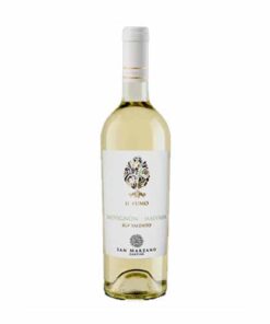 Vang trắng IL Pumo Negroamaro IGP Salento 12% - 750ml