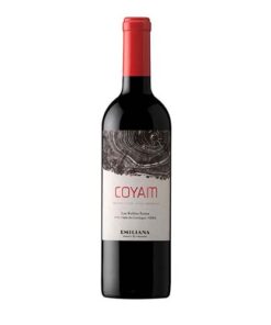 Vang Chile Coyam Ensamblaje Blend