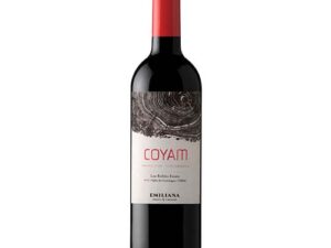 Vang Chile Coyam Ensamblaje Blend
