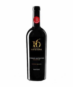 Vang đỏ 16 Edizione Limited Release 14%