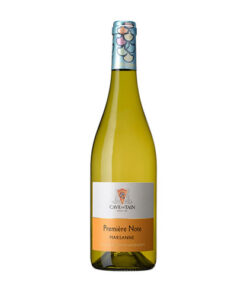 Vang Pháp Première Note IGP Collines Rhodaniennes 2016
