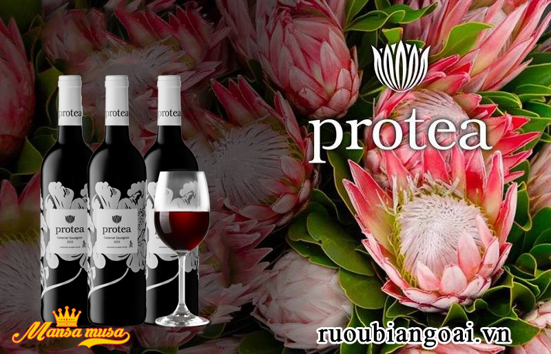 Vang Protea Cabernet Sauvignon 2015