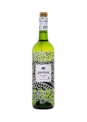 Vang Protea Chenin Blanc 2017