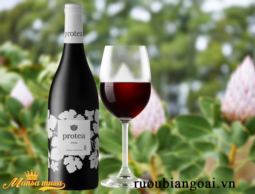 Vang Protea Shiraz 2016