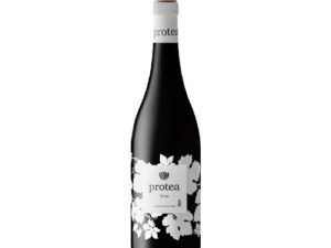 Vang Protea Shiraz 2016