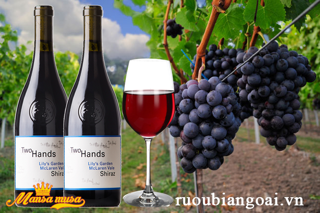 Vang Two Hands Lily’s Garden Shiraz 2016