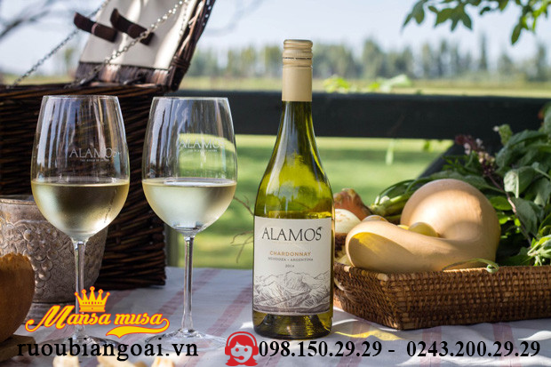 Vang Argentina Alamos Chardonnay