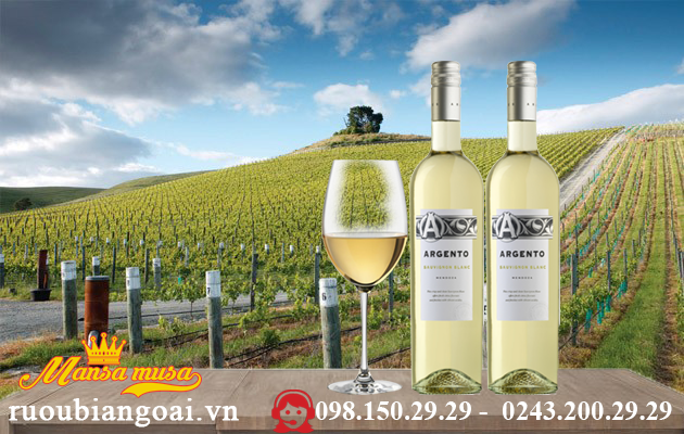 Vang Argento Sauvignon Blanc