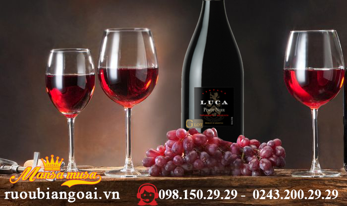 Vang Luca G Lot, Pinot Noir