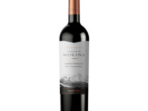 Vang Castillo De Molina Cabernet Sauvignon