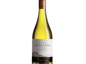 Vang Castillo De Molina Sauvignon Blanc