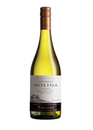 Vang Castillo De Molina Sauvignon Blanc