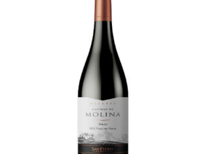 Vang Castillo De Molina Syrah