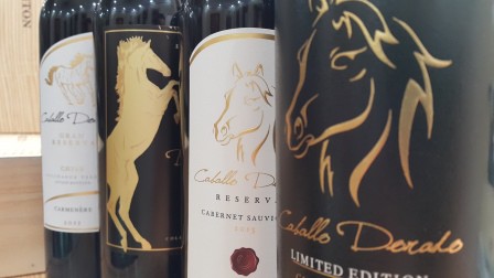 Vang Chile Caballo Reserva Cabernet Sauvignon