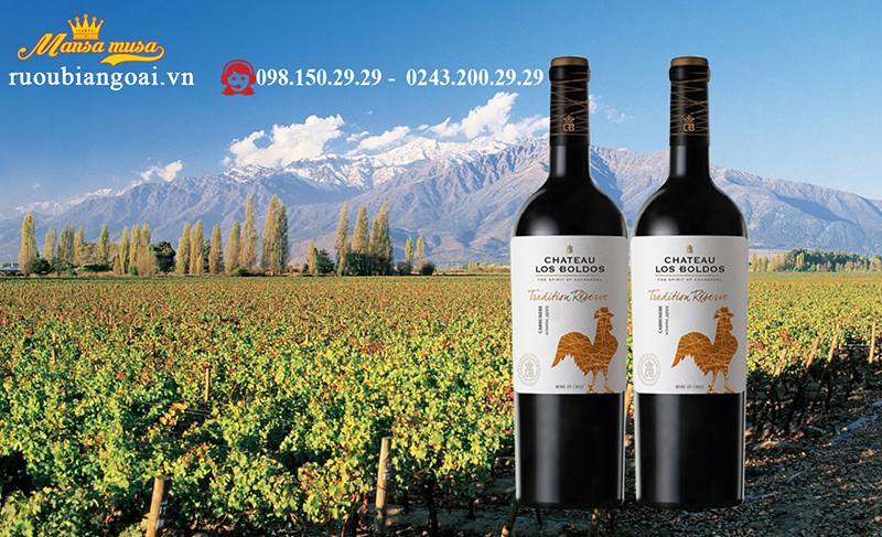 Vang Chile Los Boldos Tradition Reserve Camenere