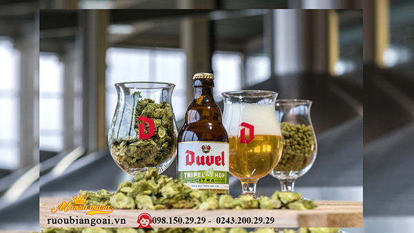 Bia Duvel dòng Bia bỉ cao cấp