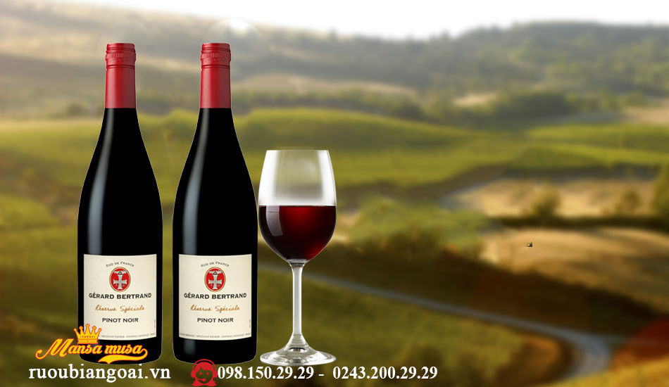 Rượu Vang Pháp Gerard Bertrand Reserve Speciale Pinot Noir