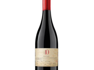 Vang Chile 10 Grand Reserva Syrah