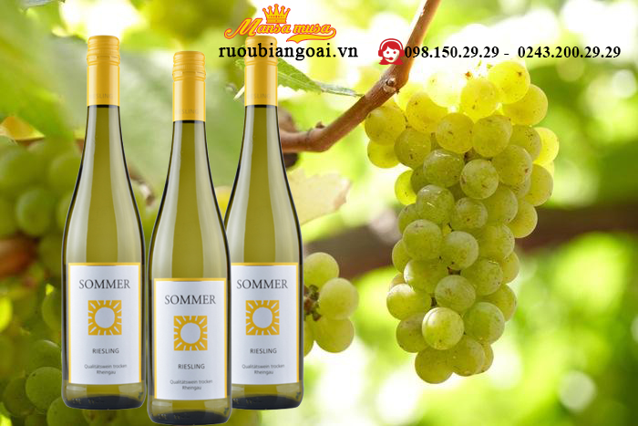 Vang Đức Sommer Riesling