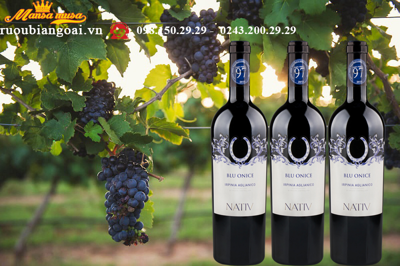 Vang Nativ Blu Onice Irpinia Aglianico - Rượu Vang Ý