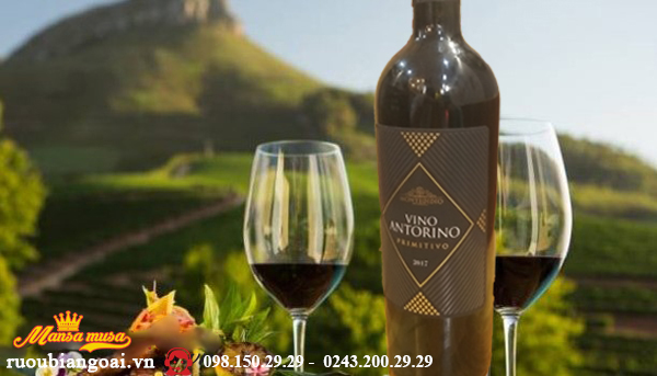 Vang Vino Antorino Primitivo - Rượu Vang Ý