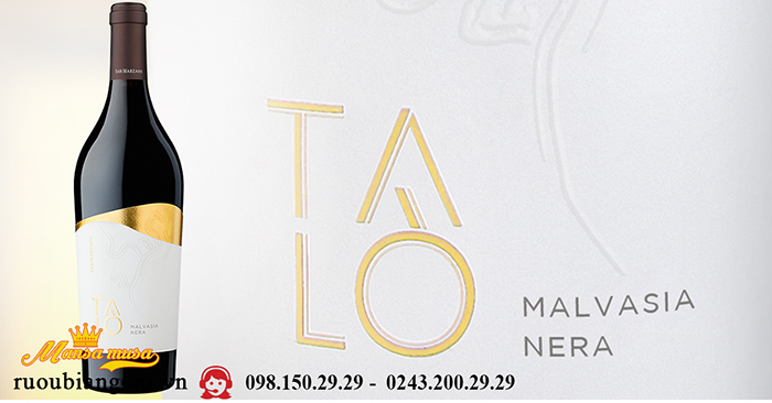 Rượu Vang Talo Malvasia Nera - Rượu Vang Ý