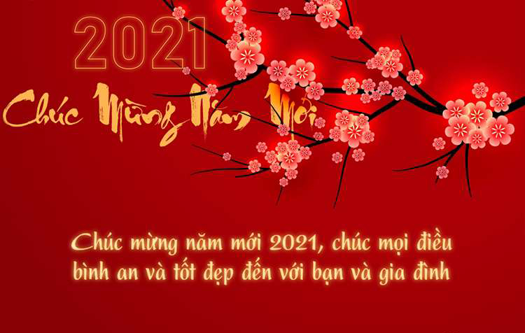 Hộp quà tết 2021 sang trọng lịch sự