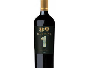 Vang Chile One Wine Syrah