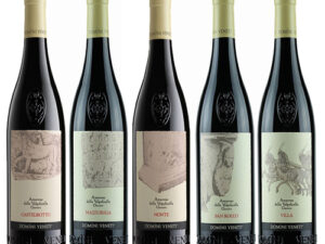 Rượu Vang Domini Veneti Amarone Collection – Bộ 5 Chai Amarone
