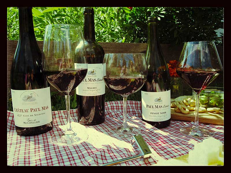 Rượu Vang Chateau Paul Mas Clos Du Moulinas Pezenas