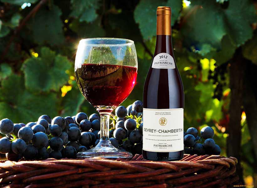 Rượu Vang Pháp Patriarche Gevrey Chambertin Les Corbeaux