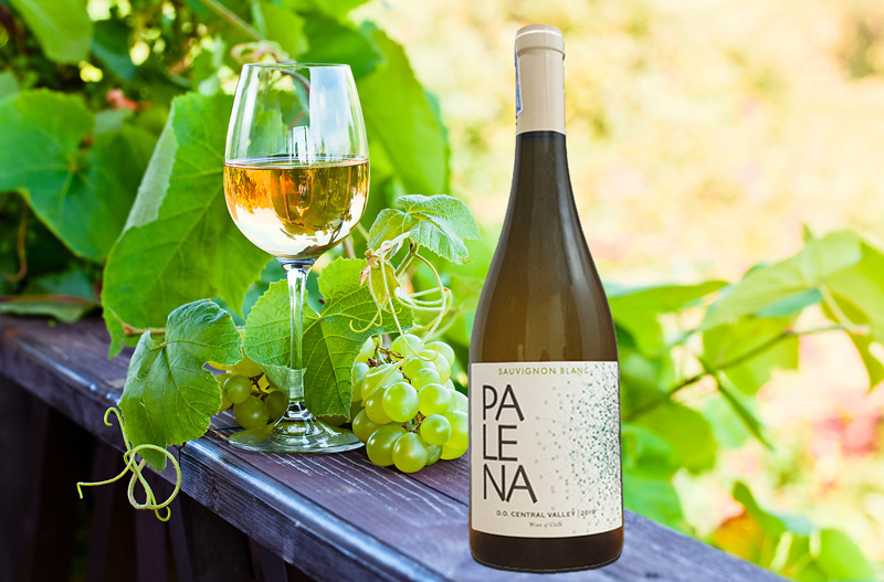 rượu vang Palena sauvignon blanc-1