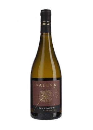 rượu vang palena gran reserva chardonnay