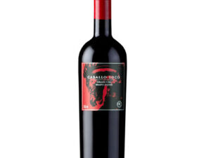 vang valdivieso caballo loco grand cru maipo andes