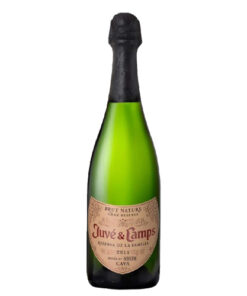 CAVA JUVE Y CAMPS GRAN RESERVA