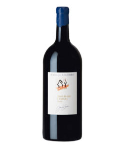 Rượu vang Pháp Jean luc Colombo, Terres Brulees, Cornas, Magnum
