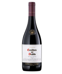 Rượu vang Chi Lê Concha Y Toro Casillero Del Diablo Reserva Syrah
