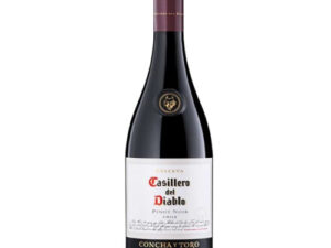 Rượu vang Chi Lê Concha Y Toro Casillero Del Diablo Reserva Syrah