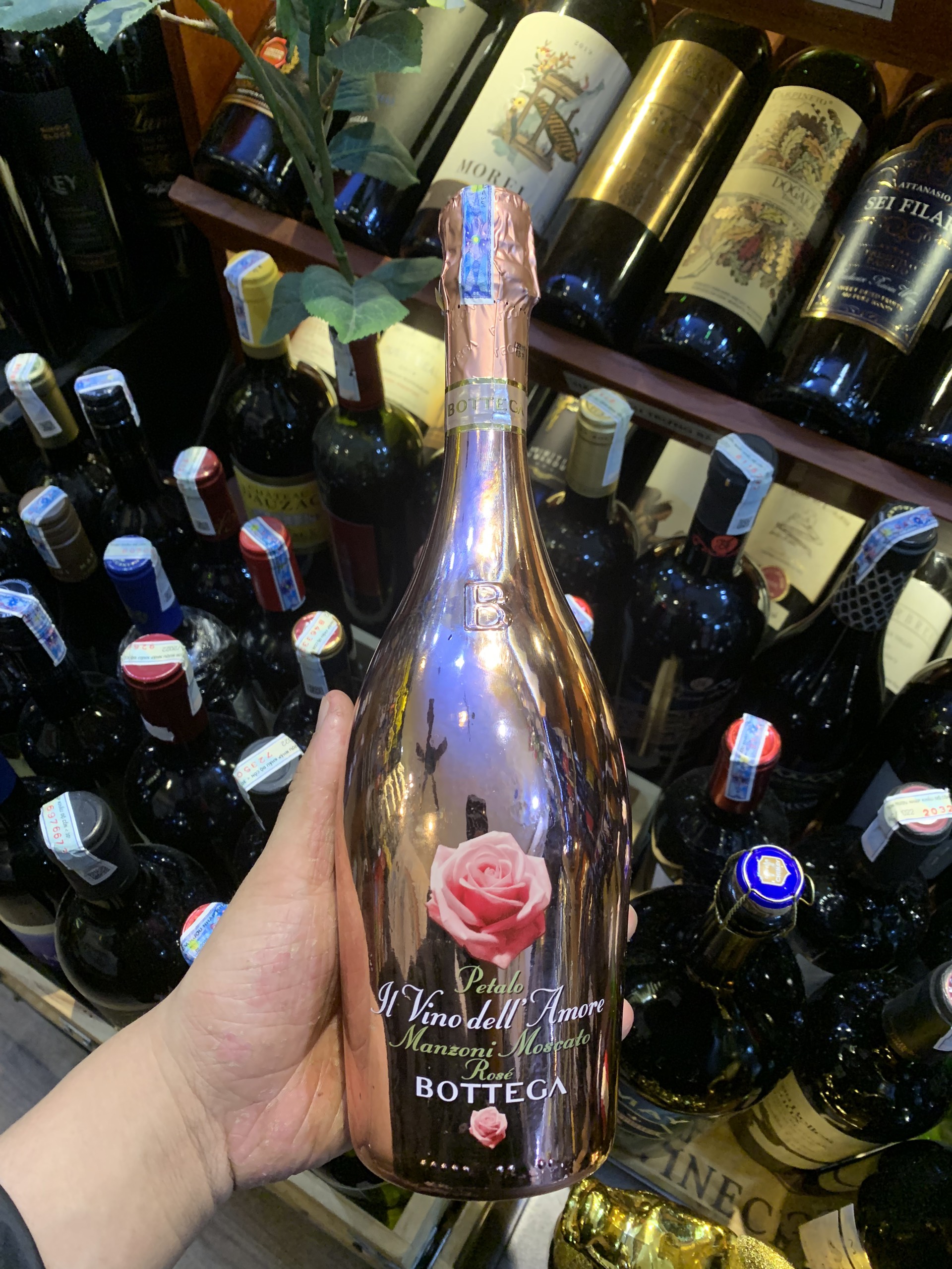 Bottega Rose (Hoa Hồng)