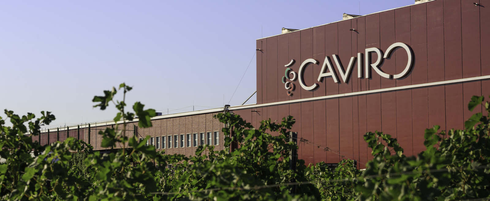 Nhà sản xuất rượu Carivo