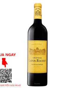 Rượu Vang Pháp Chateau Lafon Rochet 2013
