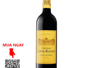 Rượu Vang Pháp Chateau Lafon Rochet 2013