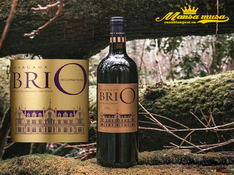 rượu vang pháp brio de cantenac brown 2016