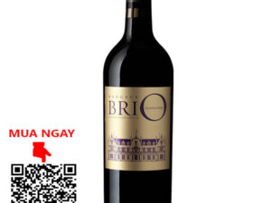 rượu vang pháp brio de cantenac brown 2016