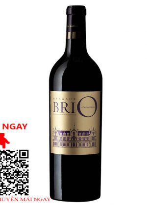 rượu vang pháp brio de cantenac brown 2016