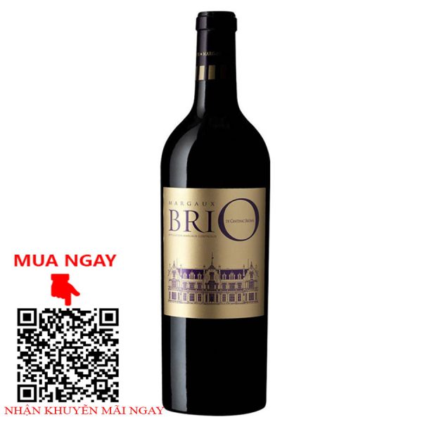 rượu vang pháp brio de cantenac brown 2016