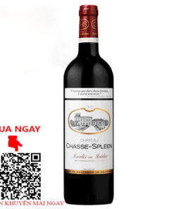 rượu vang pháp chateau chasse - spleen cru bourgeois