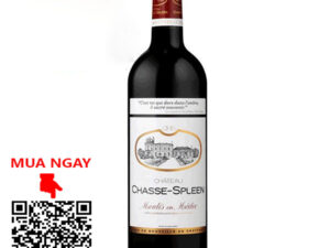 rượu vang pháp chateau chasse - spleen cru bourgeois