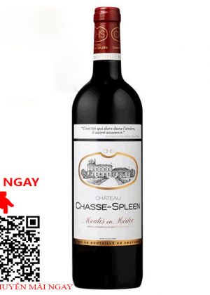 rượu vang pháp chateau chasse - spleen cru bourgeois