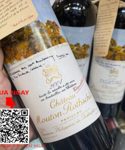 rượu vang pháp chateau mouton rothschild 2004